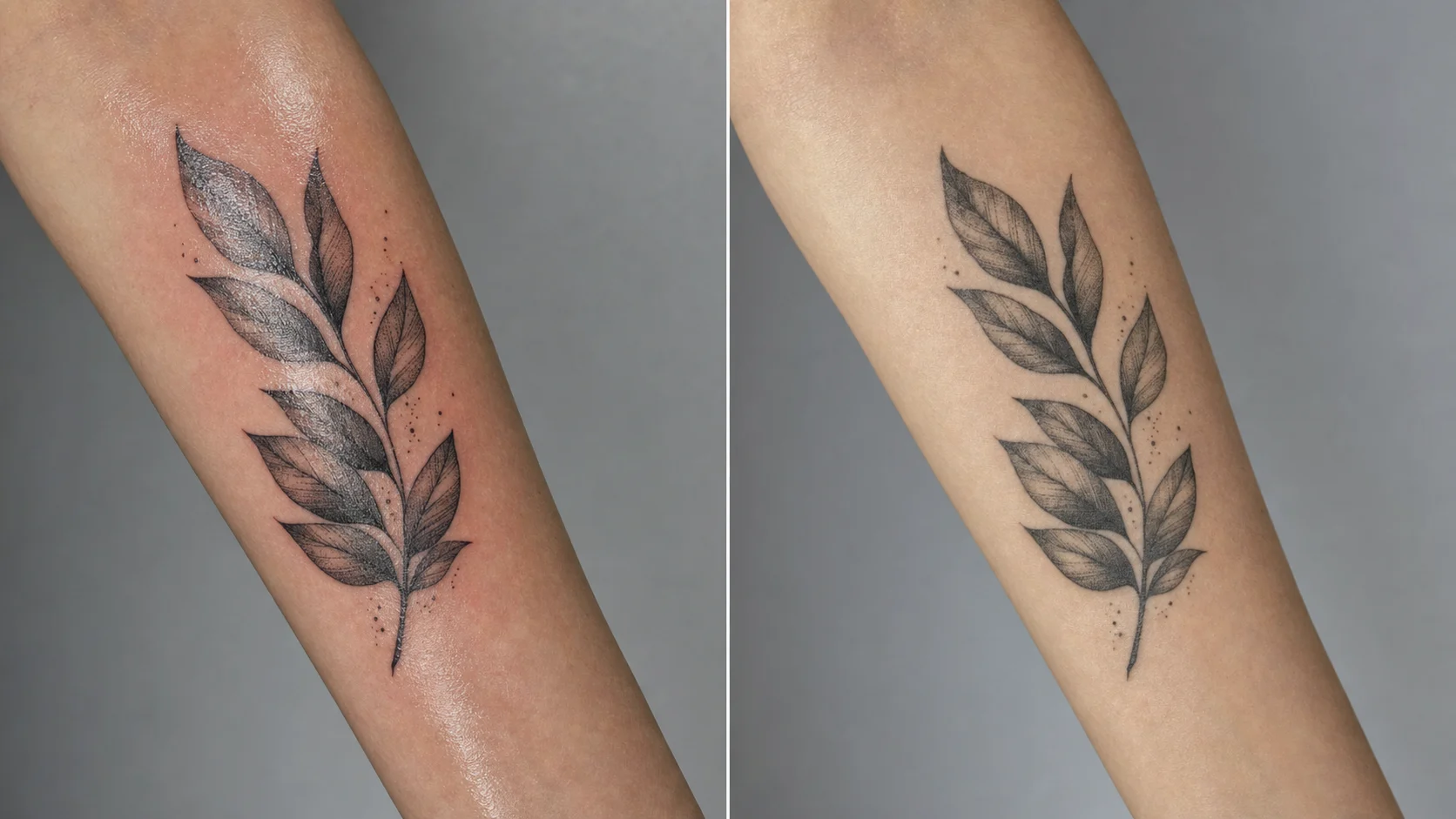 Side-by-side of the same tattoo fresh (wet, high-contrast, swollen) and healed (settled, softer, true to skin)